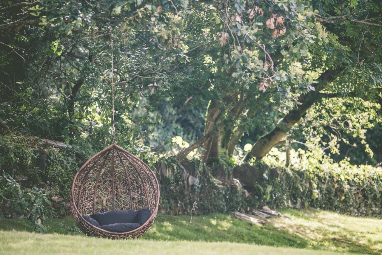 Boringdon Hall Hotel And Spa Plymouth Eksteriør bilde Egg chair